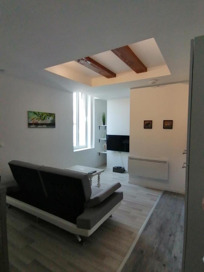 Jungle Zen Beau T2 Avec Jardin Gare 100M Leilighet Tonneins Eksteriør bilde